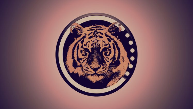 animals, Tiger, Geometry HD Wallpaper Desktop Background