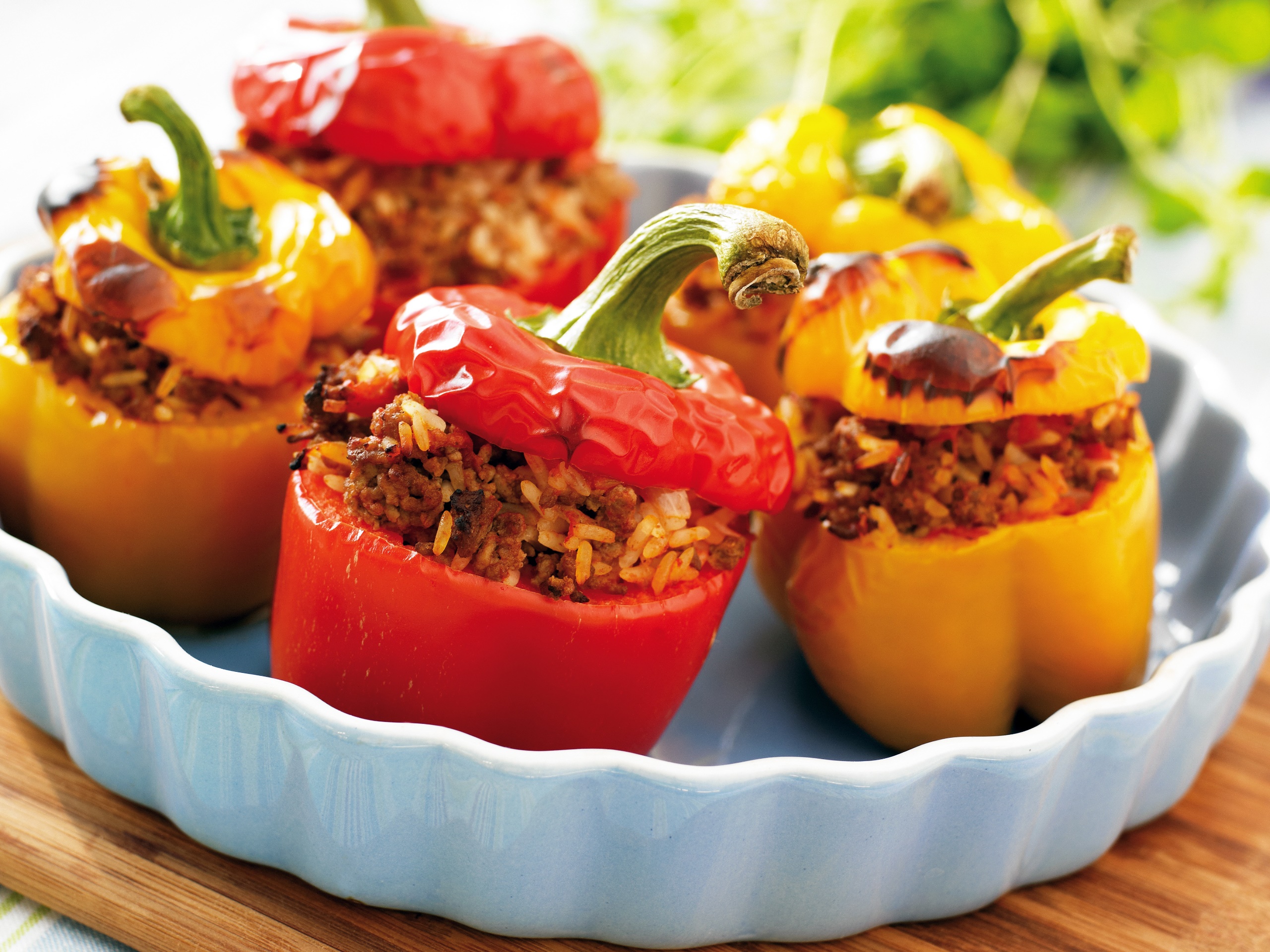 meat, Pepper, Food, Rice Wallpaper