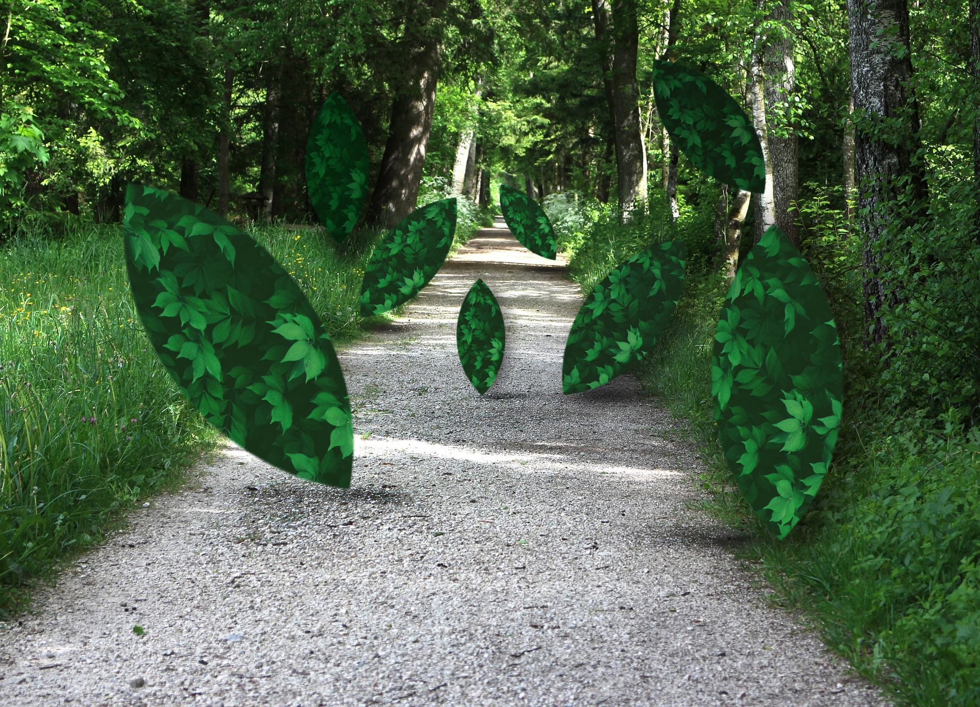 landscape, Geometry, Leaves Wallpapers HD / Desktop and Mobile Backgrounds