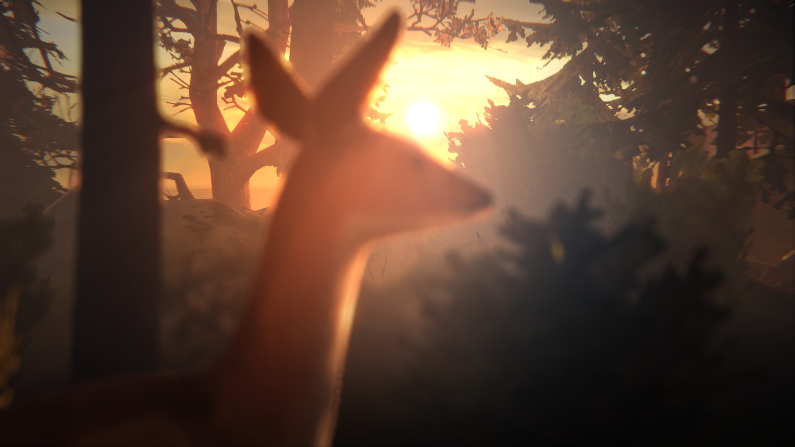 Life Is Strange, Arcadia Bay, Deer Wallpaper