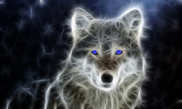 European Grey Wolf HD Wallpaper Desktop Background