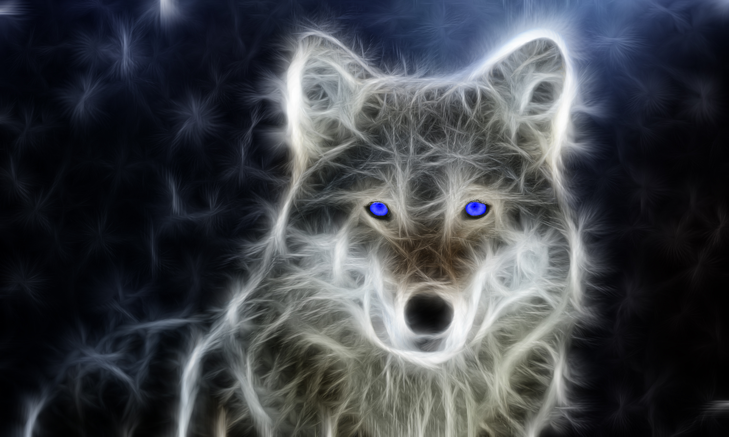European Grey Wolf Wallpapers HD / Desktop and Mobile Backgrounds