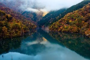 forest, River, Water, Nature, Landscape, Clouds