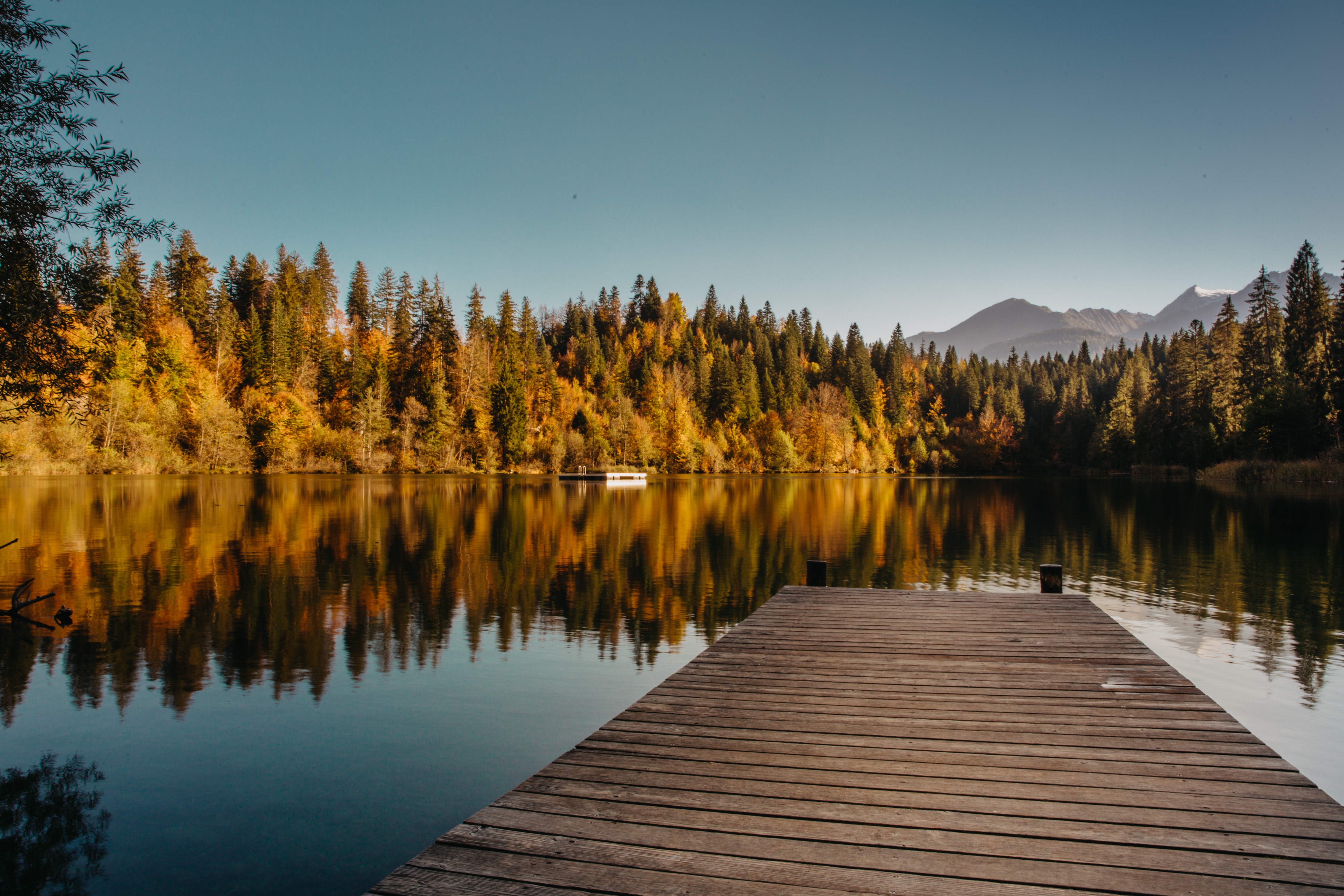 pier, Forest, Water, Mountains, Nature Wallpaper