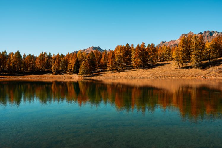 forest, Lake, Clear sky, Landscape, Nature HD Wallpaper Desktop Background