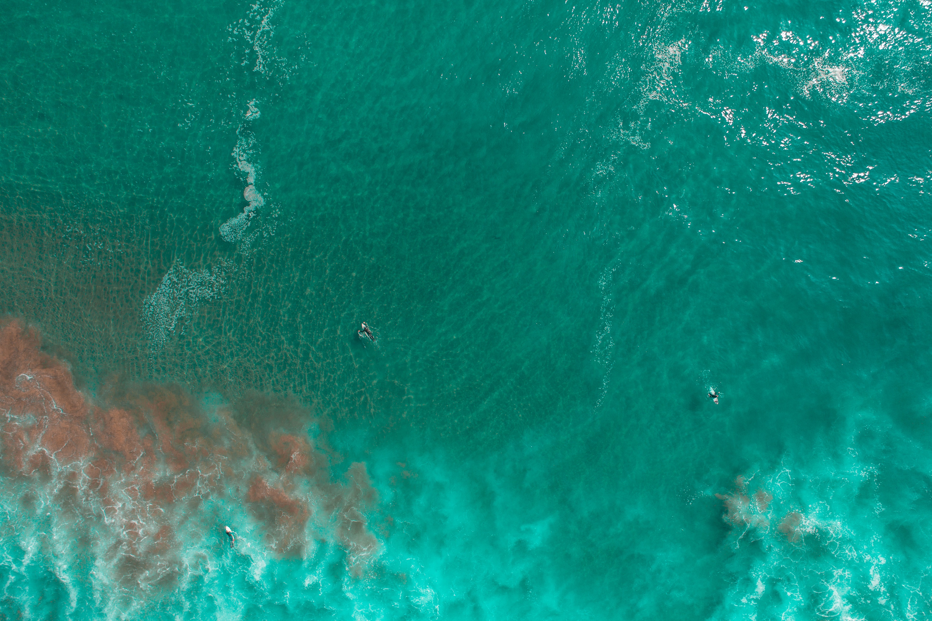 nature, Water Wallpaper