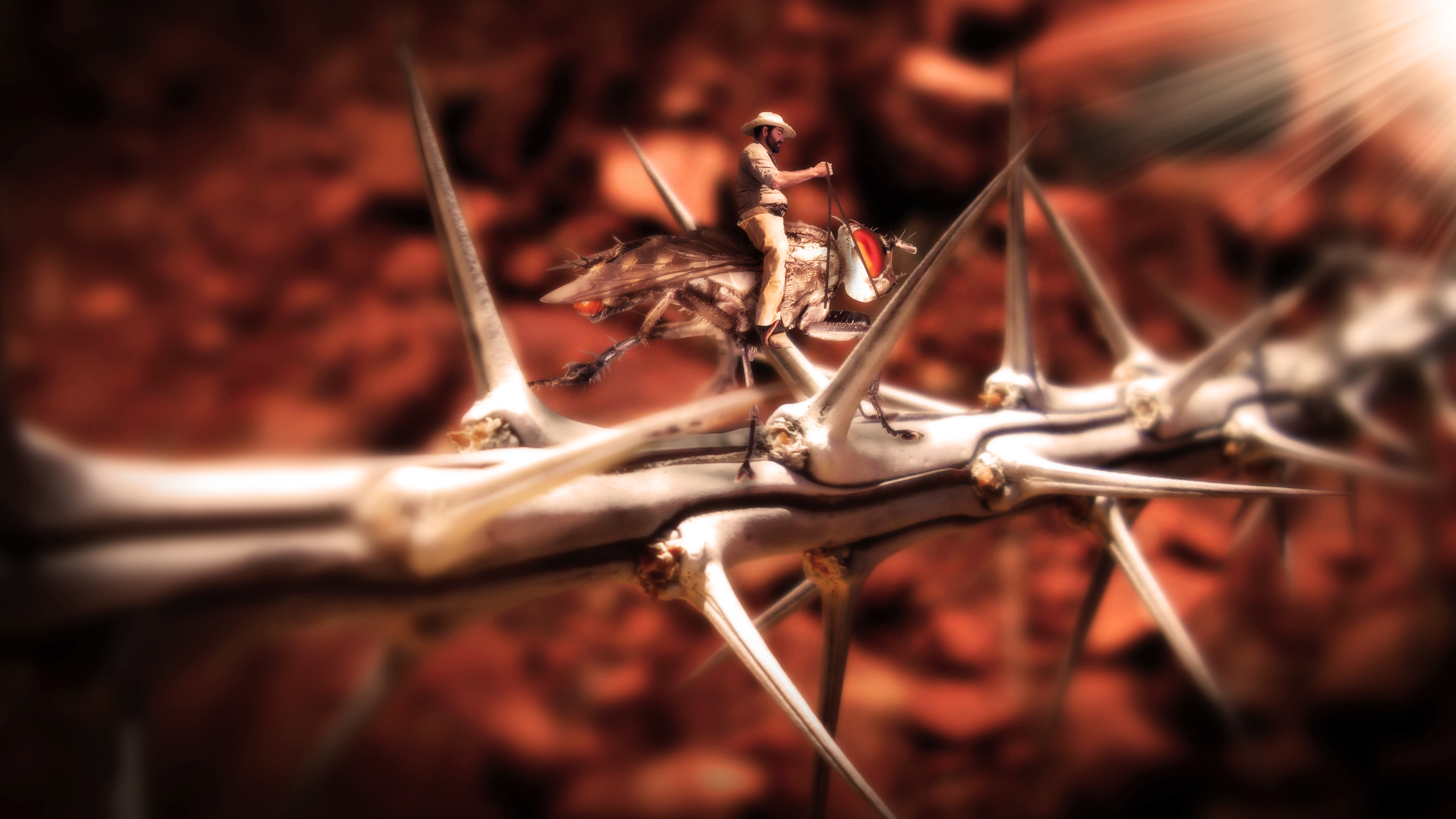 cowboys, Illusion, Fly, Desert Wallpaper