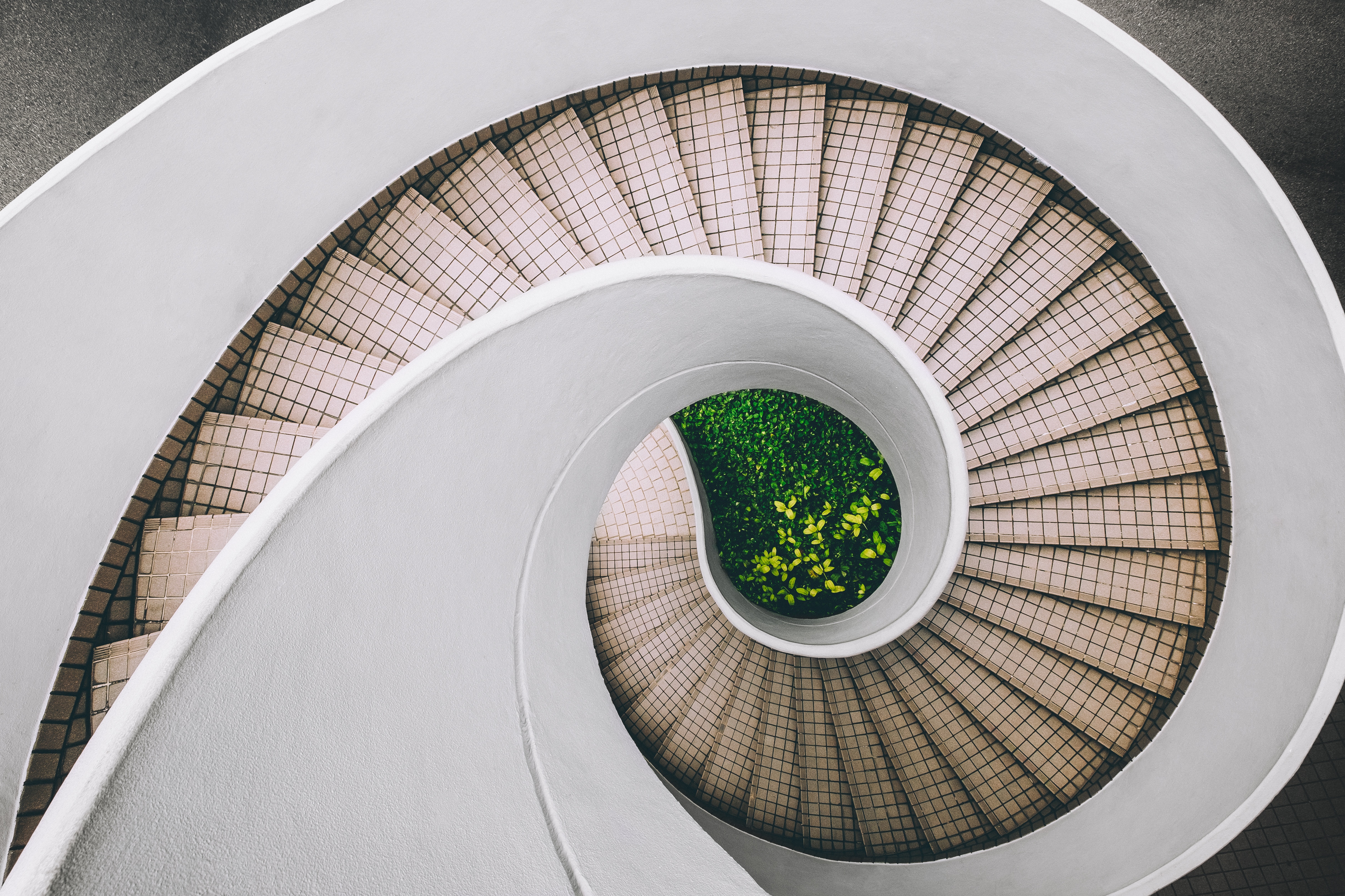 architecture, Plants, Stairs, Spiral Wallpaper