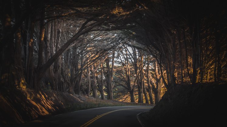 nature, Landscape, California, Fall, Road, Trees, USA HD Wallpaper Desktop Background