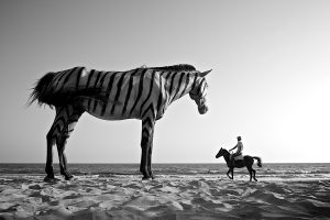 men, Photography, Monochrome, Photo manipulation, Giant, Surreal, Horse, Animals, Zebras, Sand, Desert, Sea, Clear sky