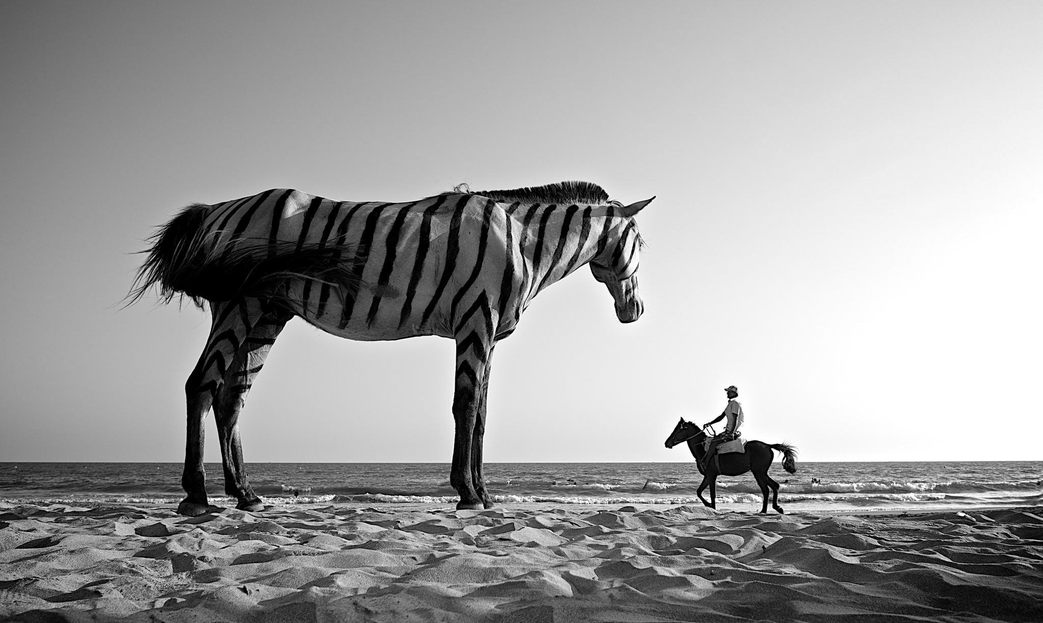 men, Photography, Monochrome, Photo manipulation, Giant, Surreal, Horse, Animals, Zebras, Sand, Desert, Sea, Clear sky Wallpaper