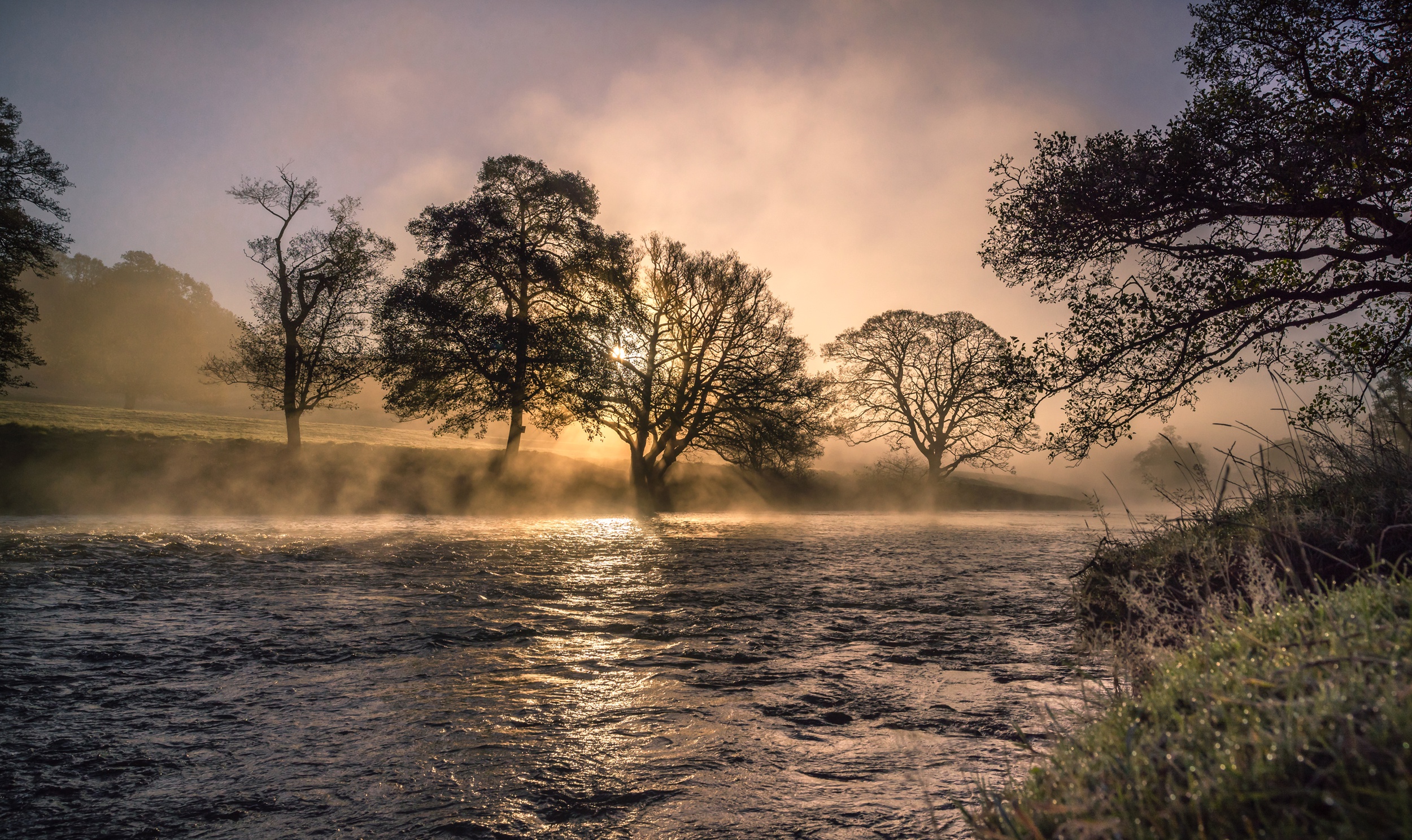 nature, River, Sunlight Wallpaper