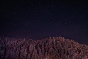 galaxy, Forest, Night, Landscape, Trees, Photography, Stars