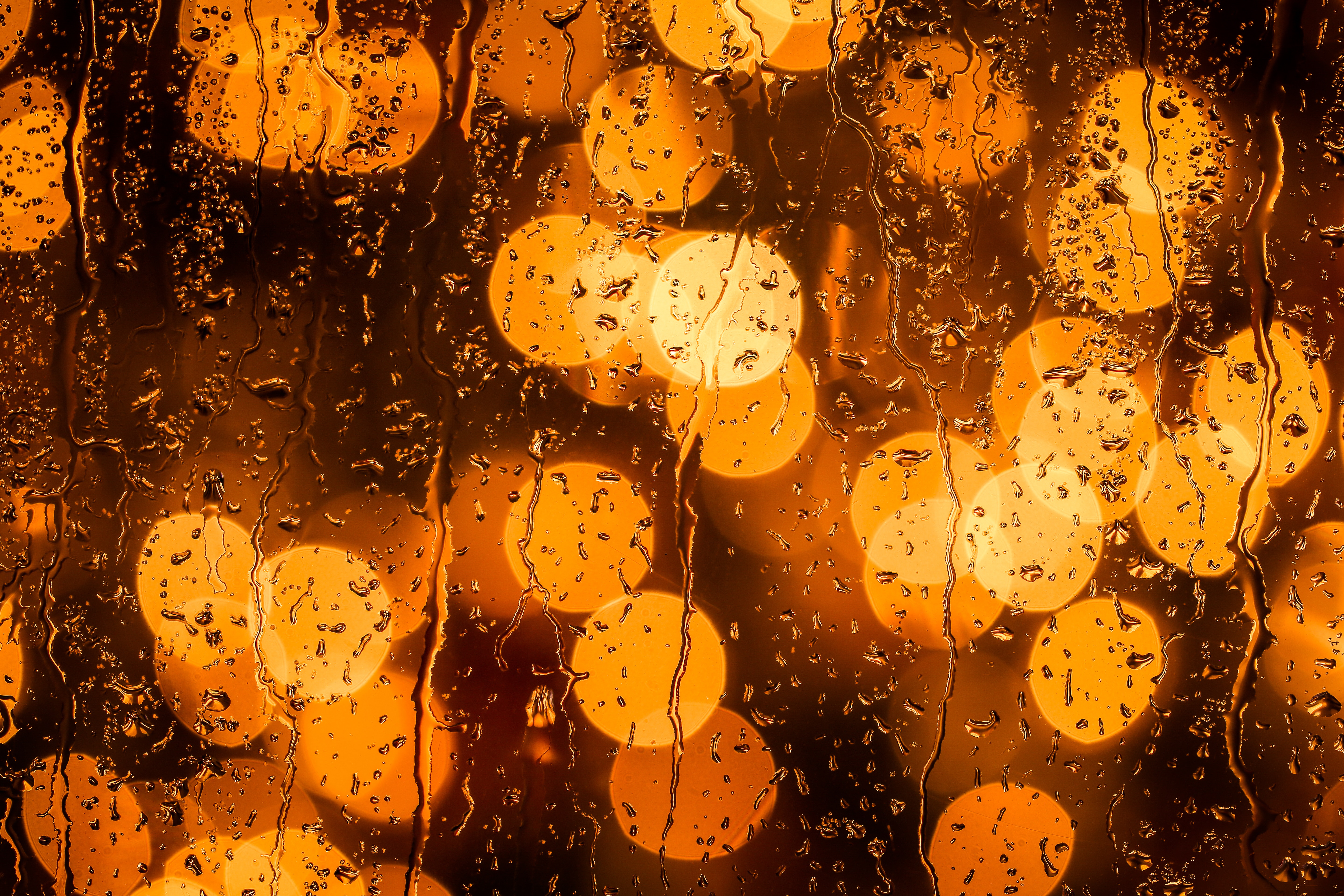 rain, Macro, Bokeh Wallpaper
