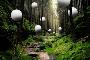 forest, Sphere