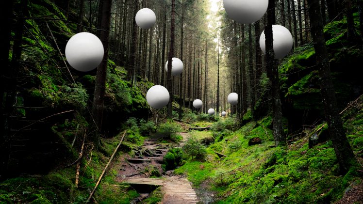 forest, Sphere HD Wallpaper Desktop Background