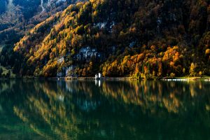 water, Forest, Mountains, Reflection, Nature