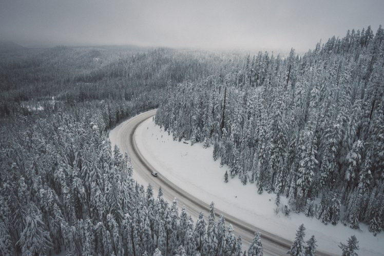 landscape, Nature, Mt. Hood National Forest, USA, Snow, Road, Forest, Mist HD Wallpaper Desktop Background