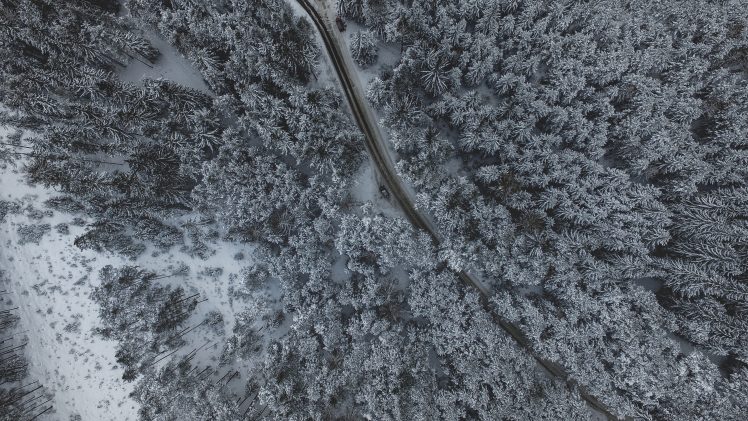landscape, Nature, Obsteig, Austria, Snow, Trees, Road, Forest HD Wallpaper Desktop Background