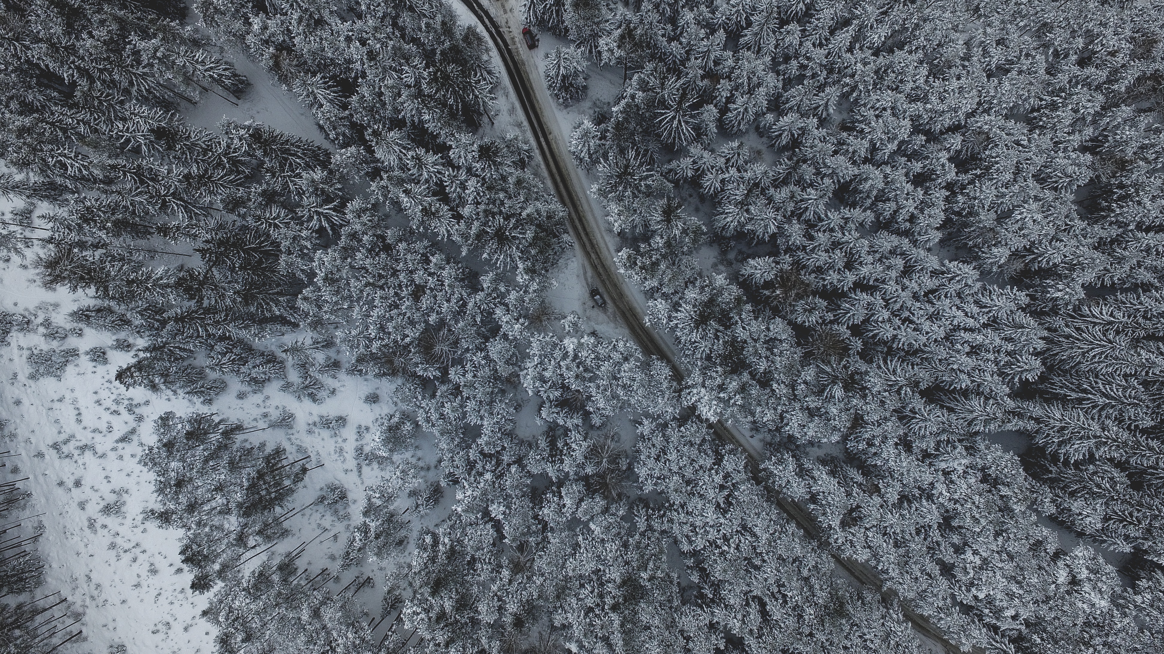 landscape, Nature, Obsteig, Austria, Snow, Trees, Road, Forest Wallpaper