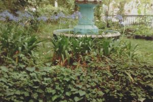 garden, Statue