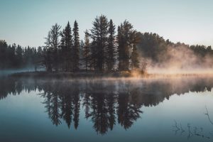 forest, Lake, Reflection, Nature, Trees, Water, Mist