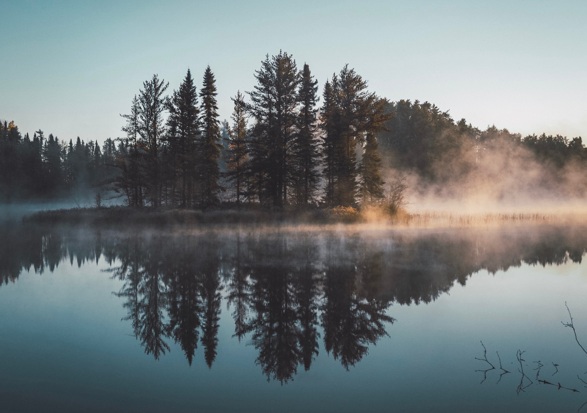 forest, Lake, Reflection, Nature, Trees, Water, Mist Wallpaper