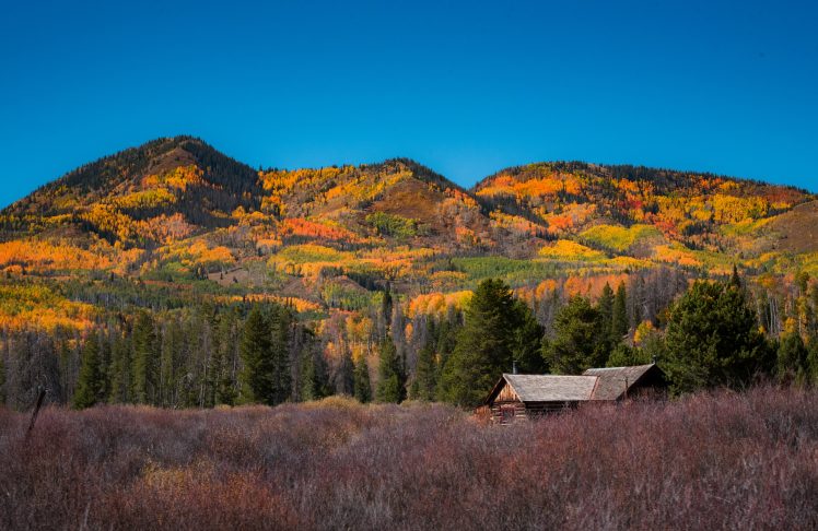 mountains, Landscape, Farm, Forest HD Wallpaper Desktop Background