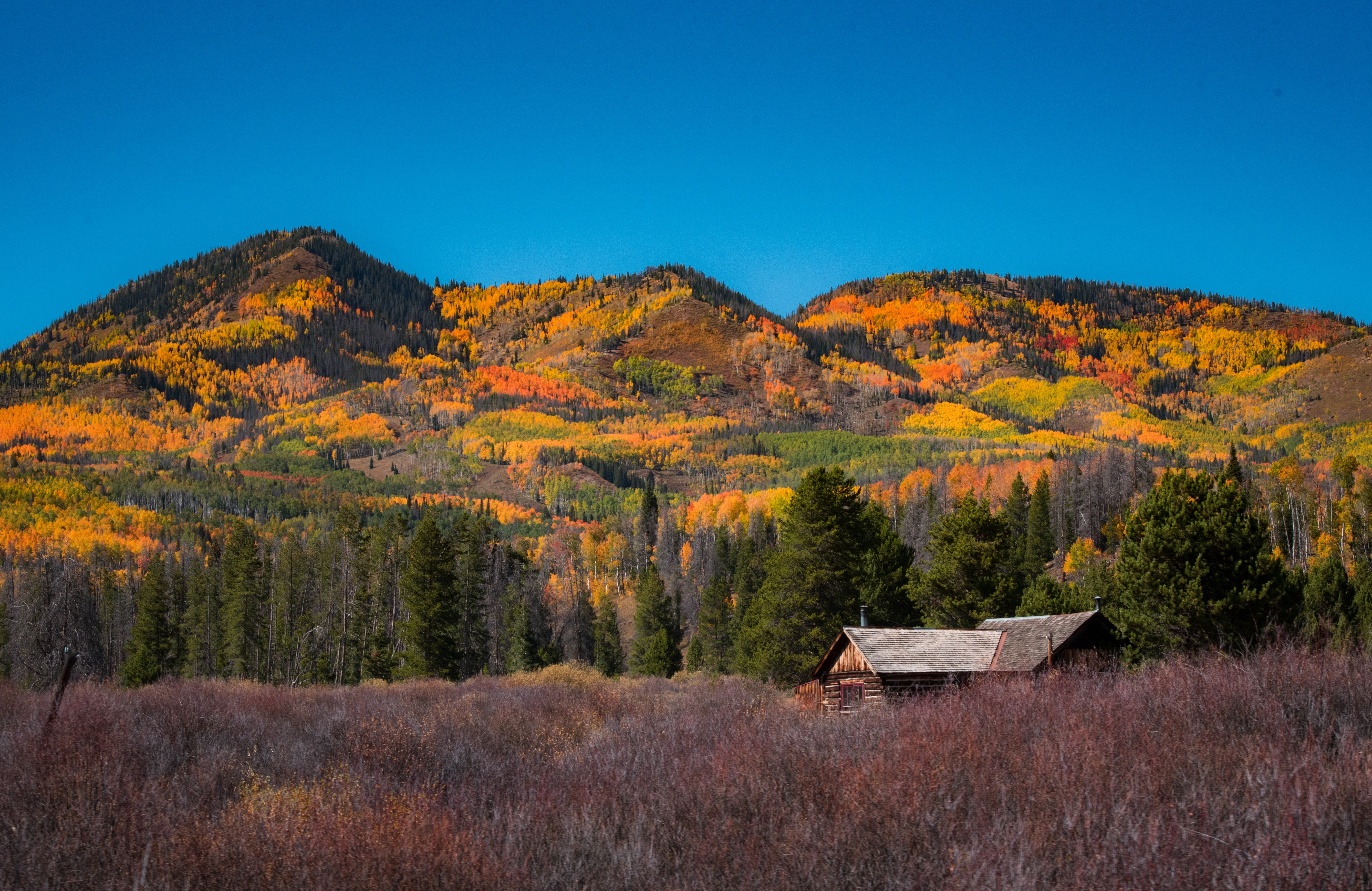 mountains, Landscape, Farm, Forest Wallpaper