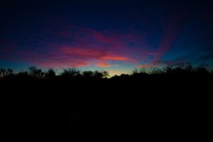 Joshua Tree National Park, Landscape, Evening, Sunset