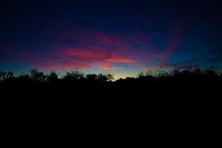 Joshua Tree National Park, Landscape, Evening, Sunset HD Wallpaper Desktop Background