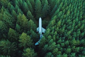 nature, Landscape, Trees, Forest, Wreck, Aerial view, Airplane, Pine trees, Aircraft