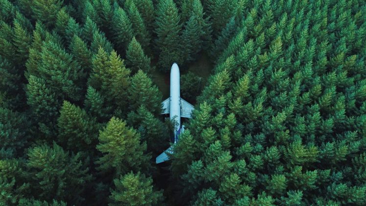 nature, Landscape, Trees, Forest, Wreck, Aerial view, Airplane, Pine trees, Aircraft HD Wallpaper Desktop Background