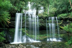 nature, Landscape, Trees, Forest, Stones, Water, Waterfall, Plants, Long exposure, Tasmania, Australia, Russel Falls, Overgrown