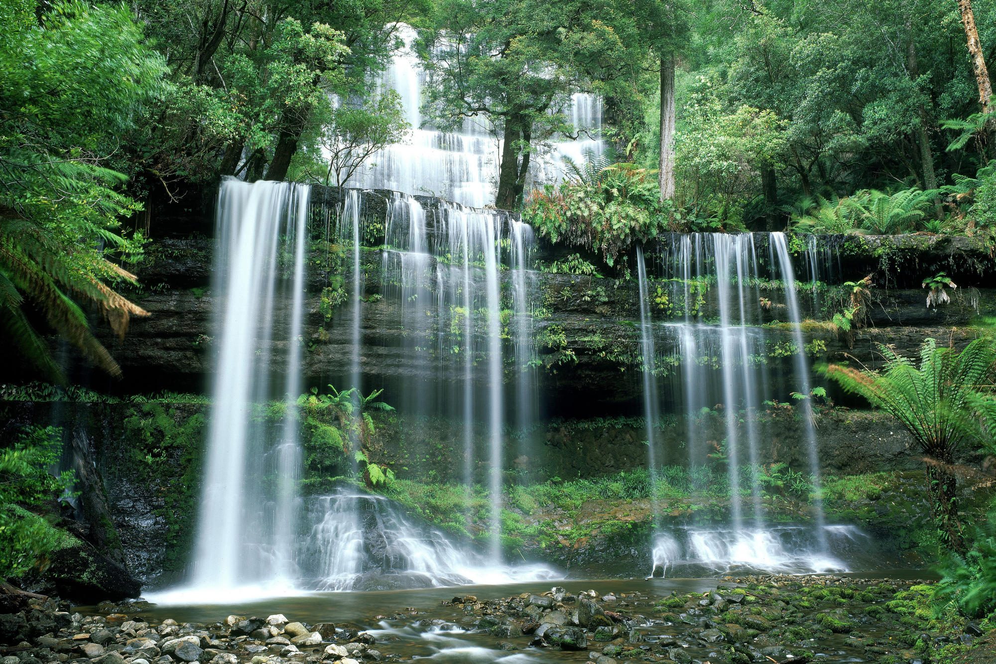 nature, Landscape, Trees, Forest, Stones, Water, Waterfall, Plants, Long exposure, Tasmania, Australia, Russel Falls, Overgrown Wallpaper
