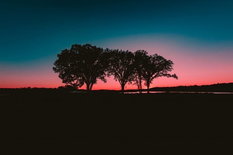 nature, Water, Trees, Sunset HD Wallpaper Desktop Background