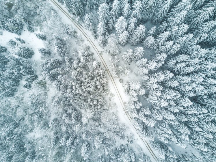 nature, Trees, Snow, Road HD Wallpaper Desktop Background