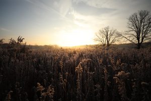 Craig Seeman, Morning, Sunrise, Sky, Frost, Field