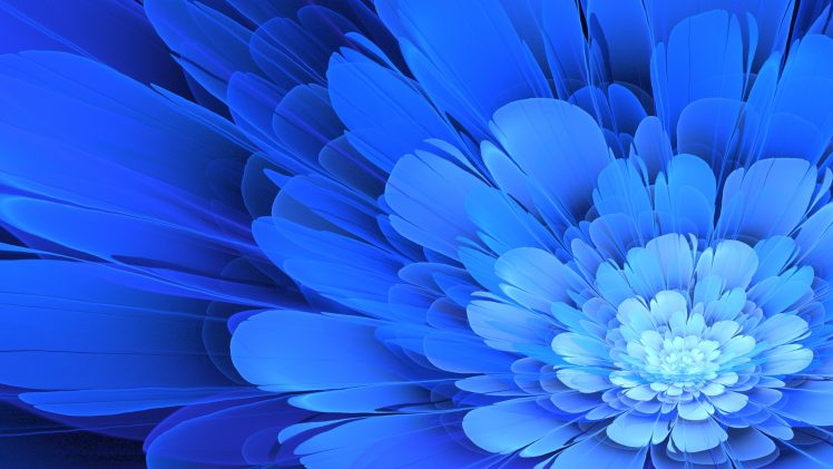 flowers, Apophysis, Blue flowers, Blue HD Wallpaper Desktop Background