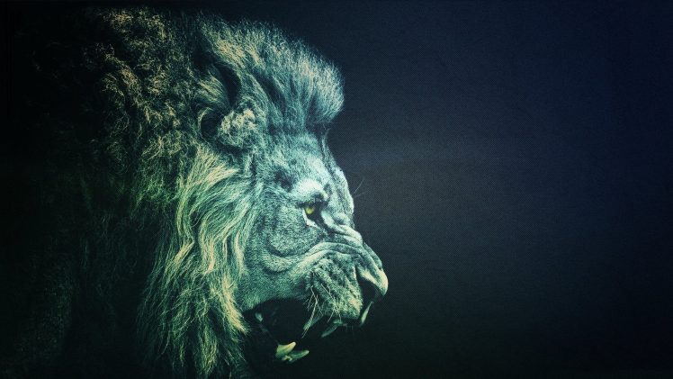 lion, Minimalism, Animals HD Wallpaper Desktop Background