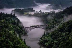 nature, Landscape, Train, Bridge, Forest, Mist, Reflection, River