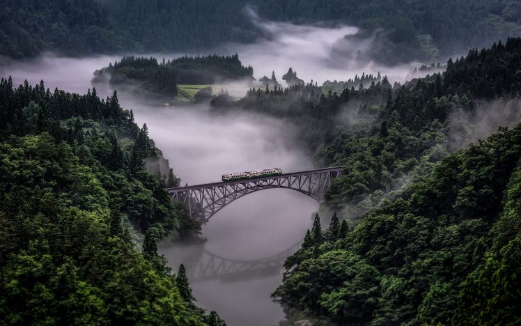 nature, Landscape, Train, Bridge, Forest, Mist, Reflection, River HD Wallpaper Desktop Background