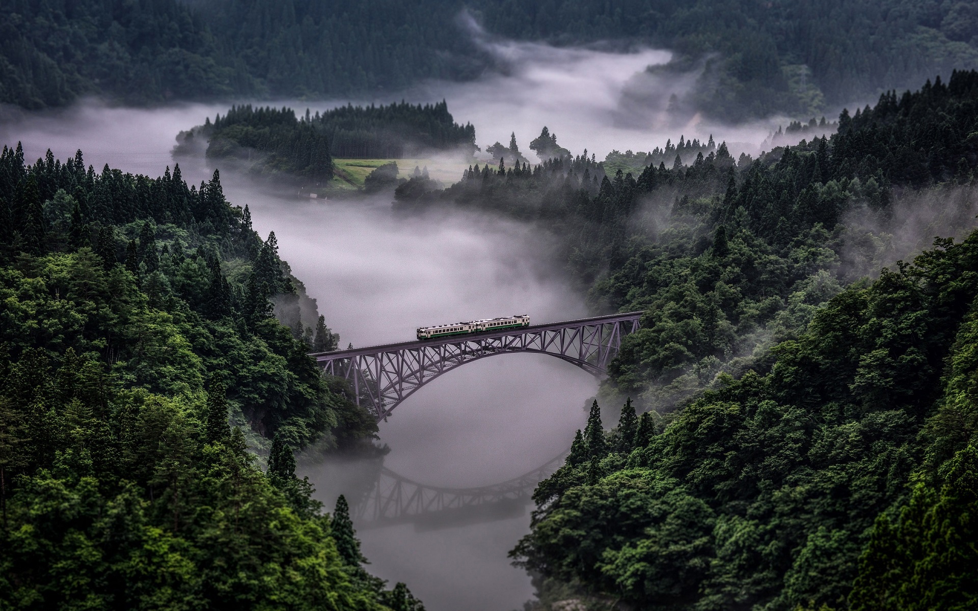 nature, Landscape, Train, Bridge, Forest, Mist, Reflection, River Wallpaper