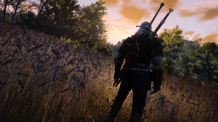 Geralt of Rivia, The Witcher 3: Wild Hunt, Video games, RPG HD Wallpaper Desktop Background