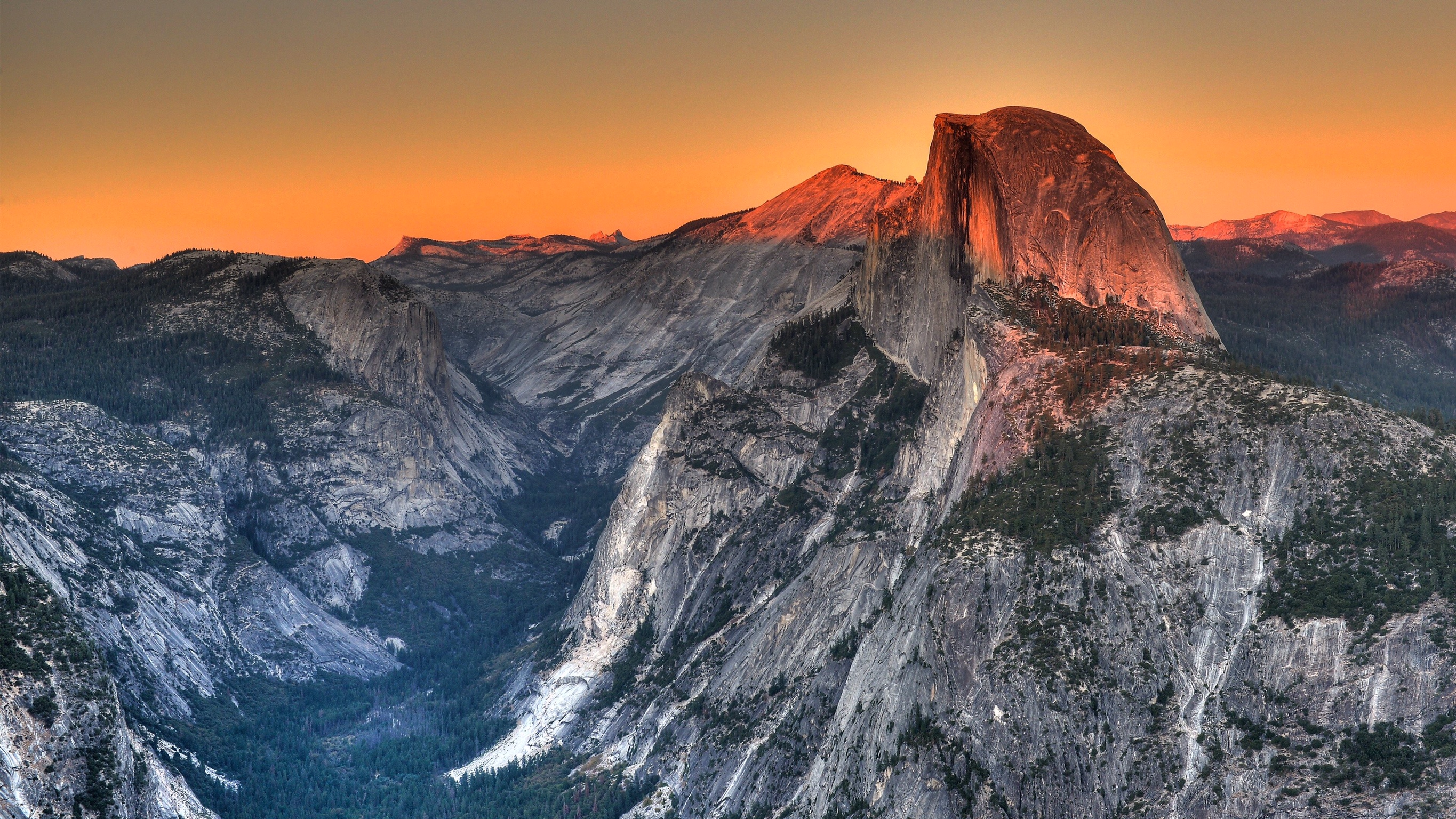 landscape, Mountain pass, Tree house, Half Dome, Yosemite National Park Wallpaper