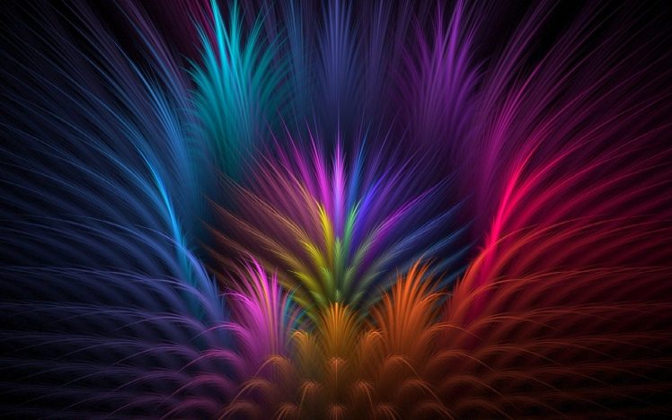 feathers, Colorful, Abstract HD Wallpaper Desktop Background