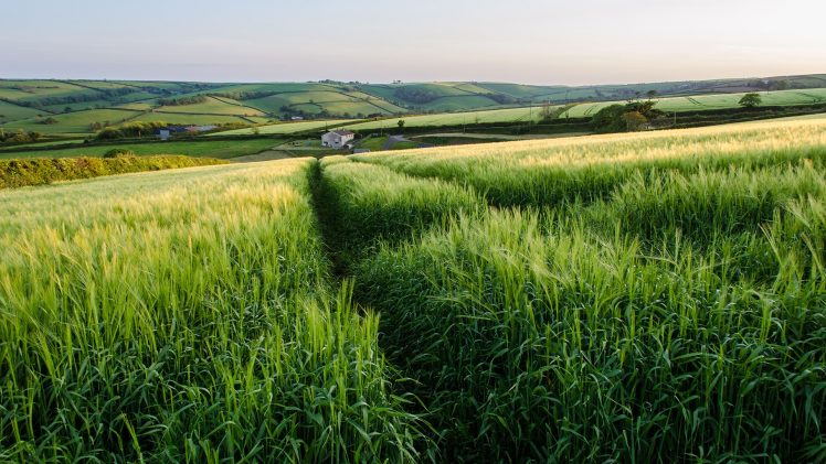 landscape, England, Grass, Plains HD Wallpaper Desktop Background