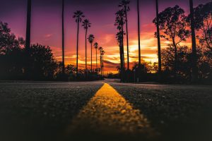 California, USA, Road, Sunlight, Street, Sunset, Worms eye view