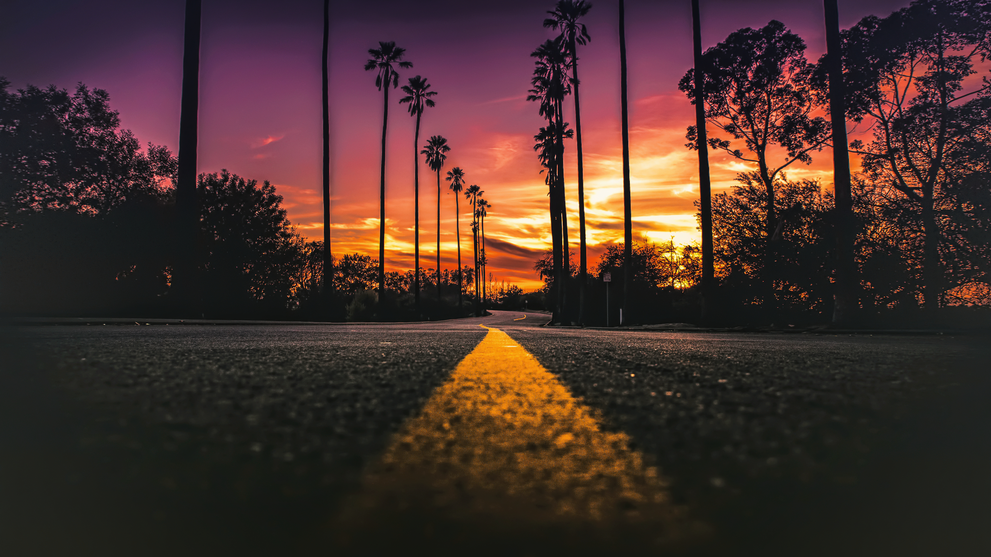California, USA, Road, Sunlight, Street, Sunset, Worms eye view Wallpaper