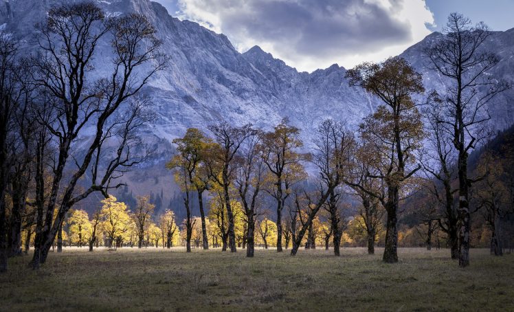 mountains, Landscape, Trees, Nature HD Wallpaper Desktop Background